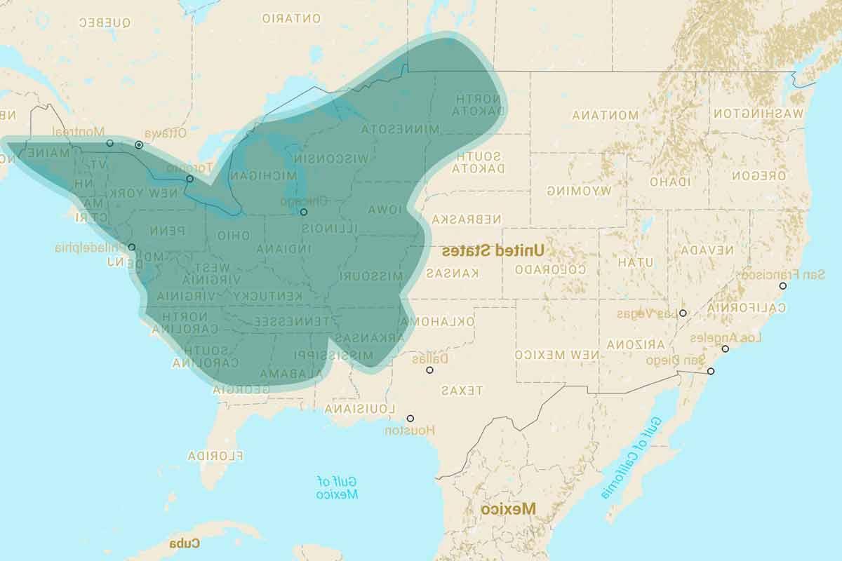 Native Range of American Hazelnuts